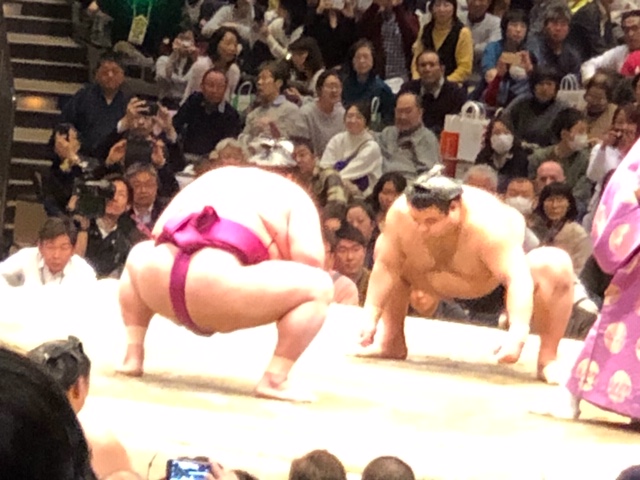 大相撲初場所 シーネットグループ株式会社 大相撲初場所 シーネットグループ株式会社